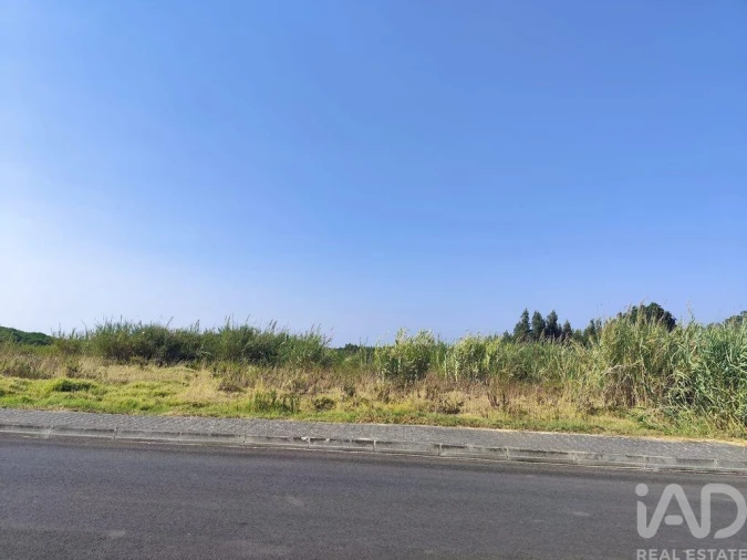 Terreno para Venda em Cadaval e Pêro Moniz Foto 25