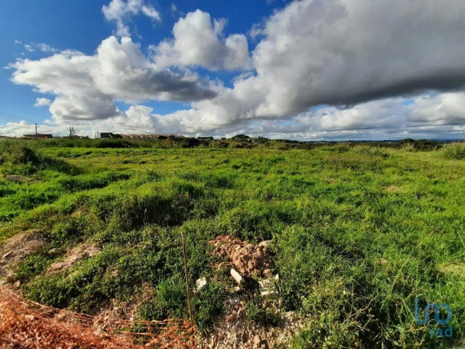 Terreno para Venda em Cadaval e Pêro Moniz Foto 10