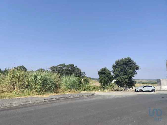 Terreno para Venda em Cadaval e Pêro Moniz Foto 4