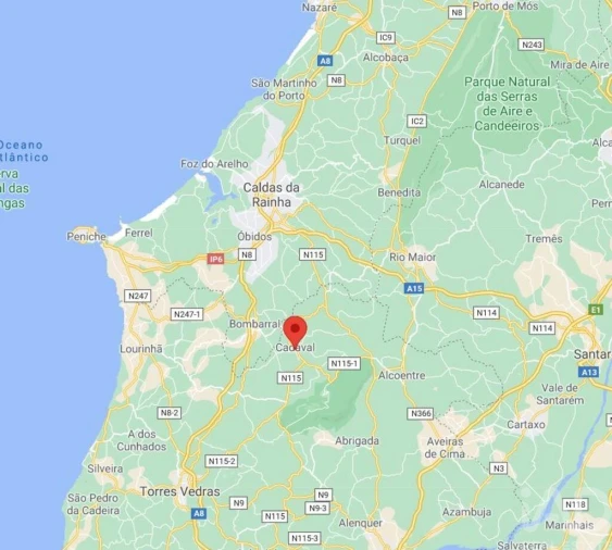 Terreno para Venda em Cadaval e Pêro Moniz Foto 19