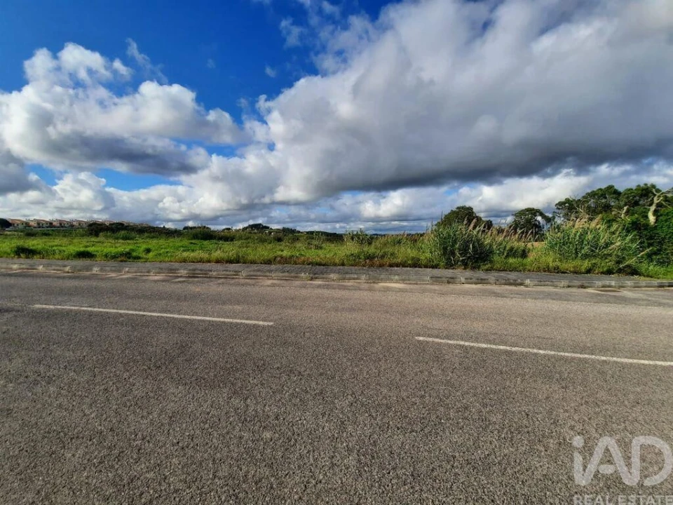 Terreno para Venda em Cadaval e Pêro Moniz Foto 18