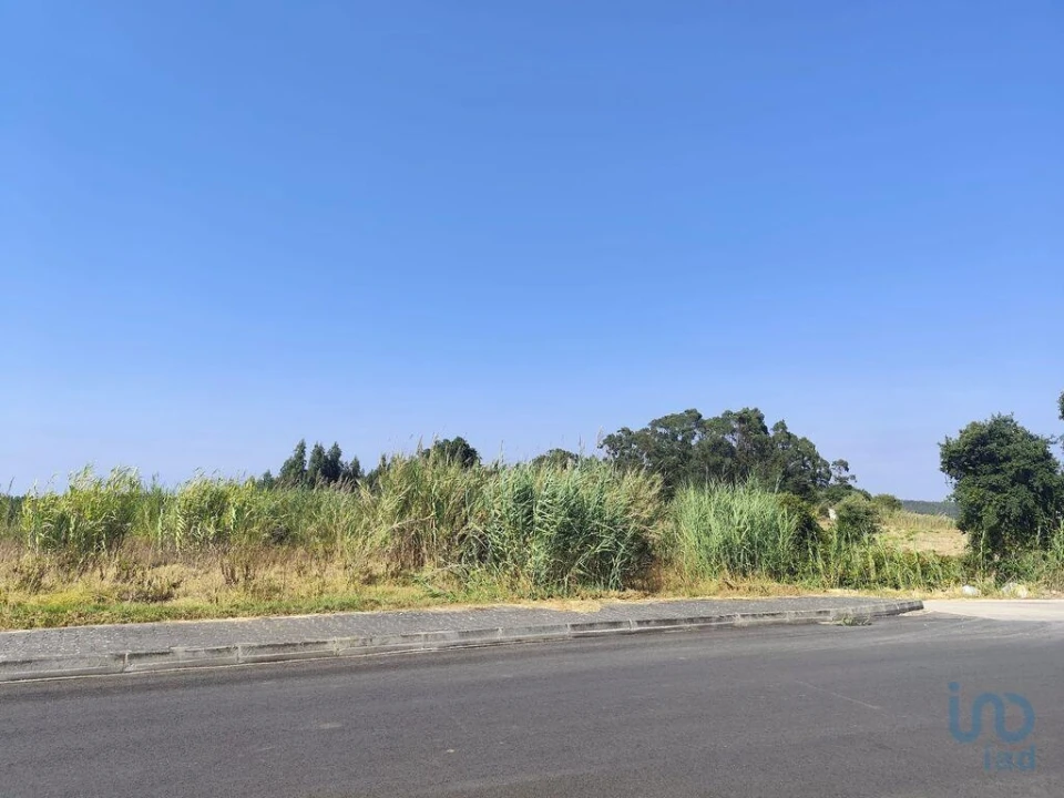 Terreno para Venda em Cadaval e Pêro Moniz Foto 5