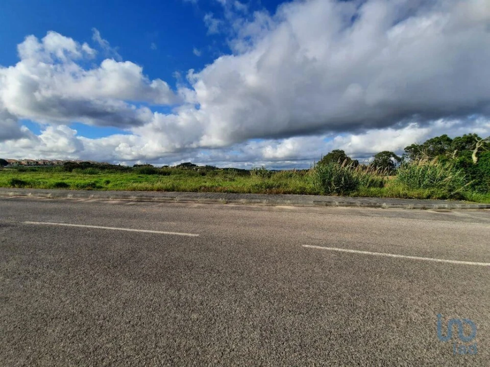 Terreno para Venda em Cadaval e Pêro Moniz Foto 8