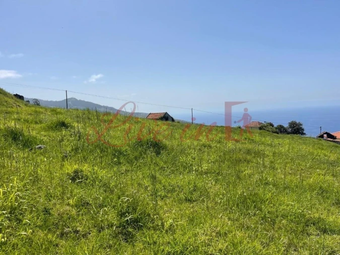 Terreno para Venda em Estreito da Calheta Foto 5