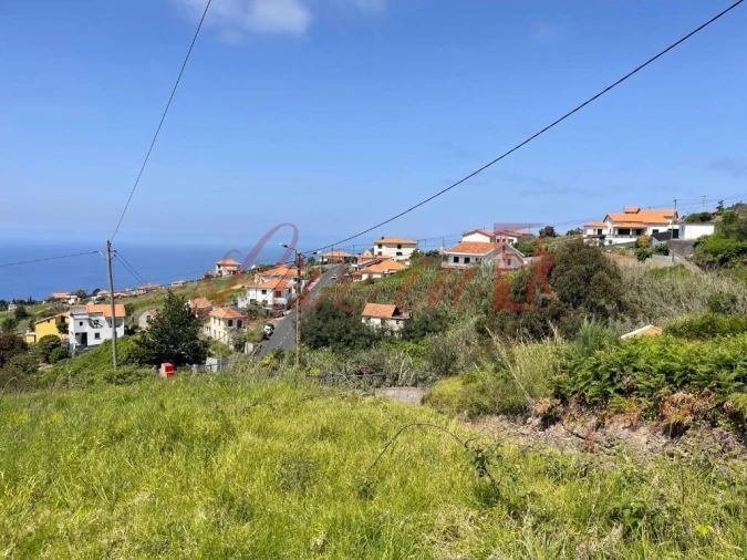 Terreno para Venda em Estreito da Calheta Foto 3