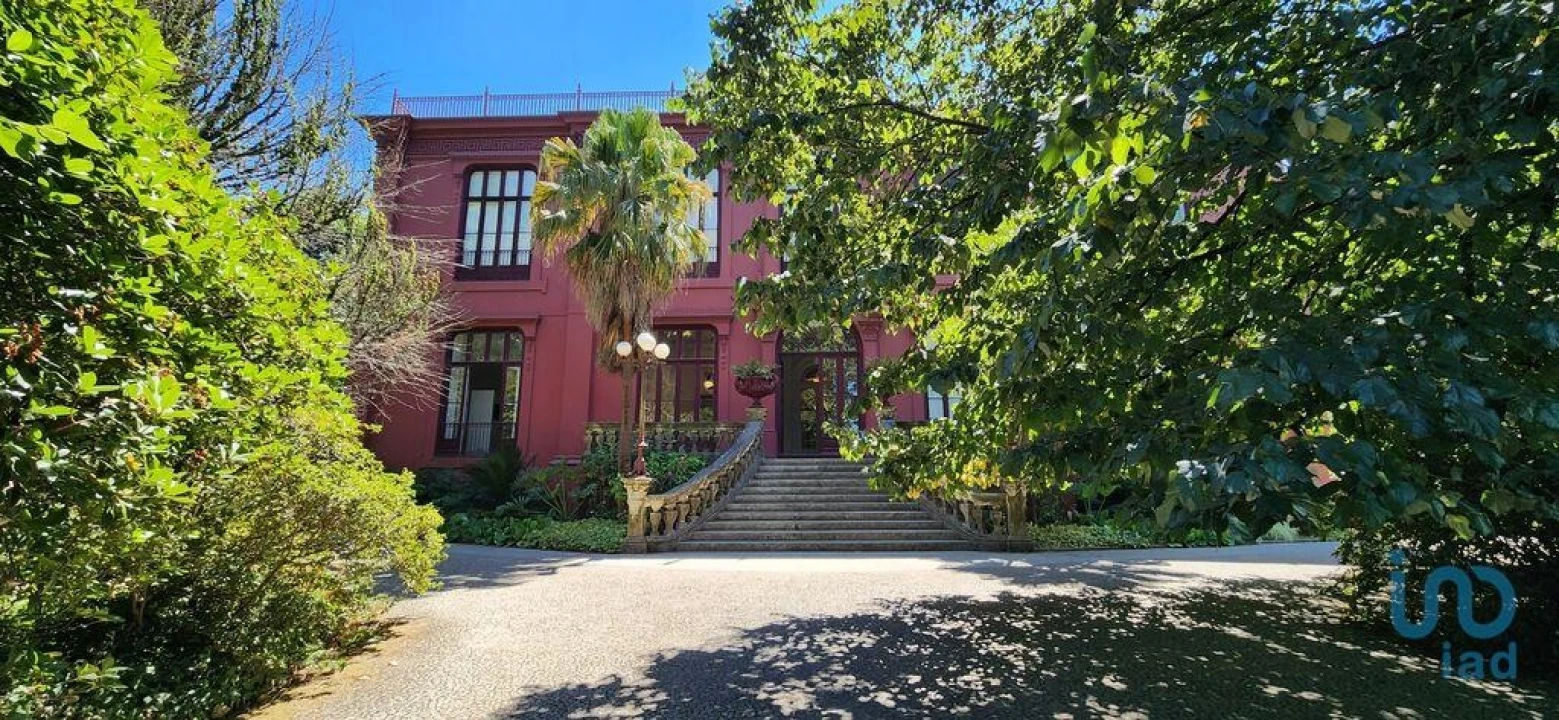 Apartamento T1 para Venda em Lordelo do Ouro e Massarelos Foto 12