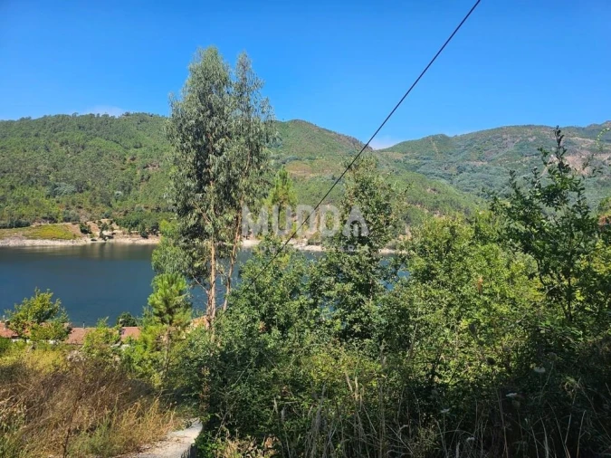 Terreno para Venda em Campo do Geres Foto 11