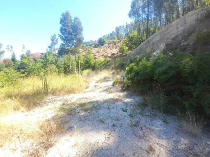 Terreno para Venda em Campo do Geres Foto 6