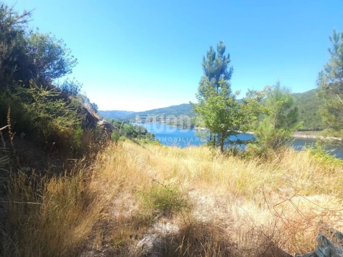 Terreno para Venda em Campo do Geres Foto 5