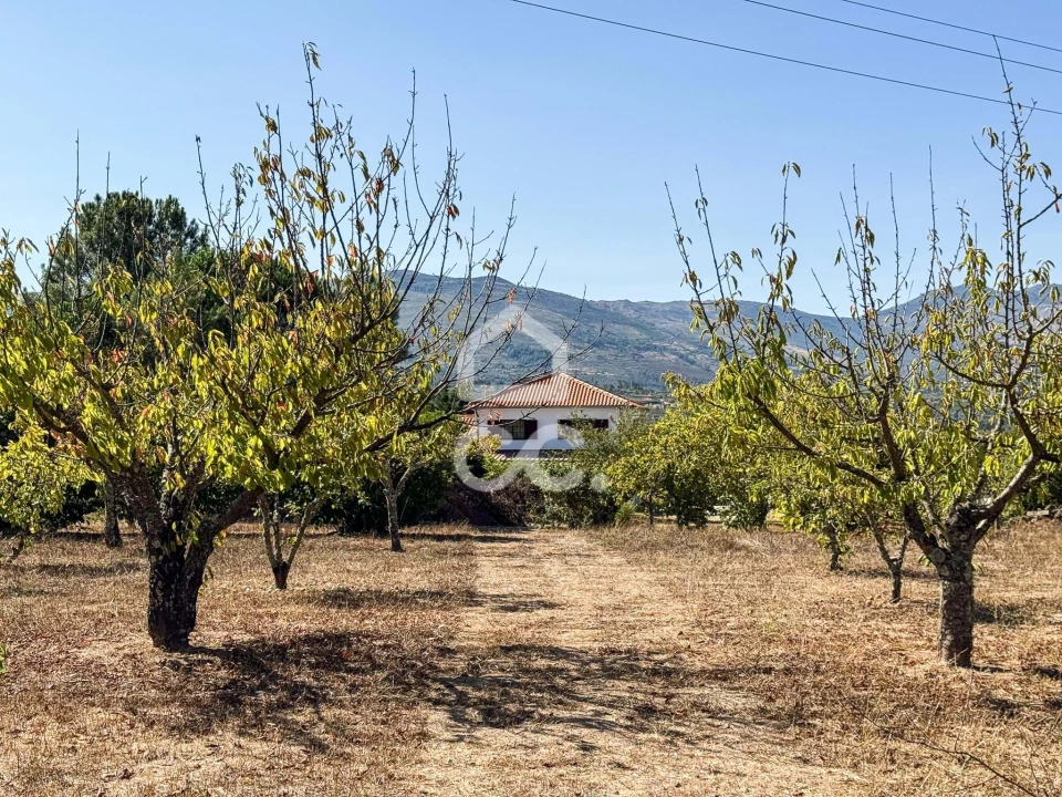 Moradia T3 para Venda em Carrapichana Foto 7