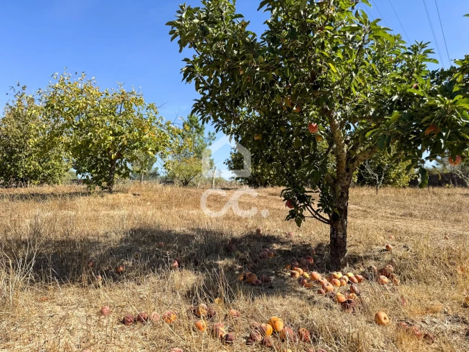 Moradia T3 para Venda em Carrapichana Foto 42