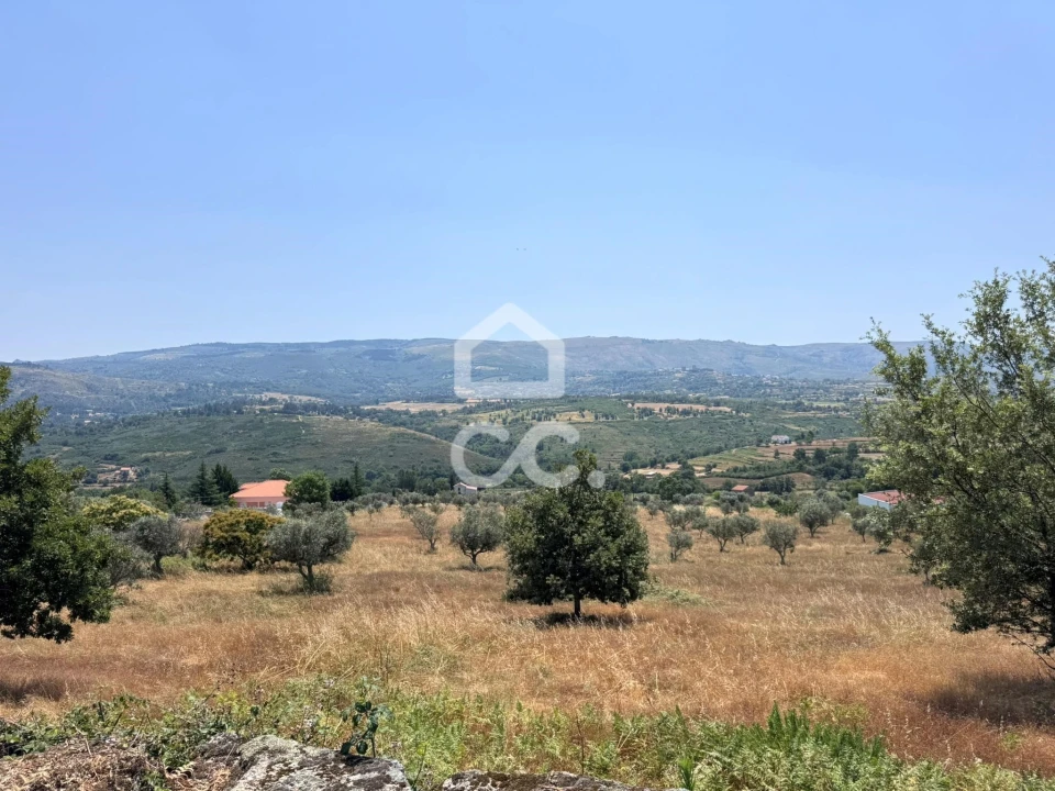 Terreno para Venda em Carrapichana Foto 7