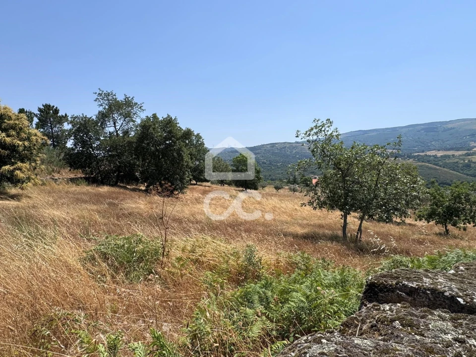 Terreno para Venda em Carrapichana Foto 11