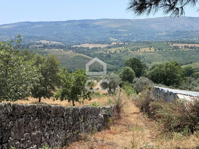 Terreno para Venda em Carrapichana Foto 1