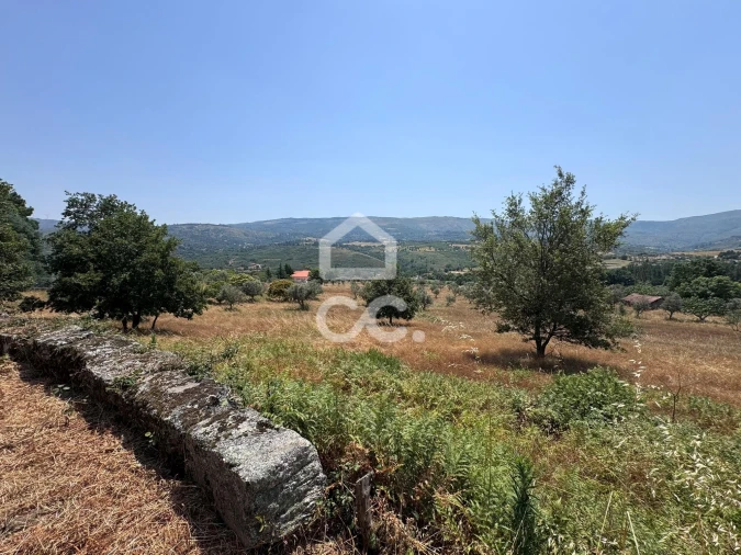 Terreno para Venda em Carrapichana Foto 13