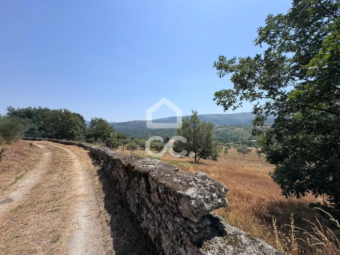 Terreno para Venda em Carrapichana Foto 8