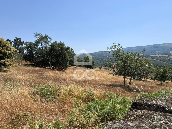 Terreno para Venda em Carrapichana Foto 11