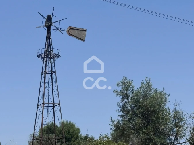 Terreno para Venda em Carrapichana Foto 3