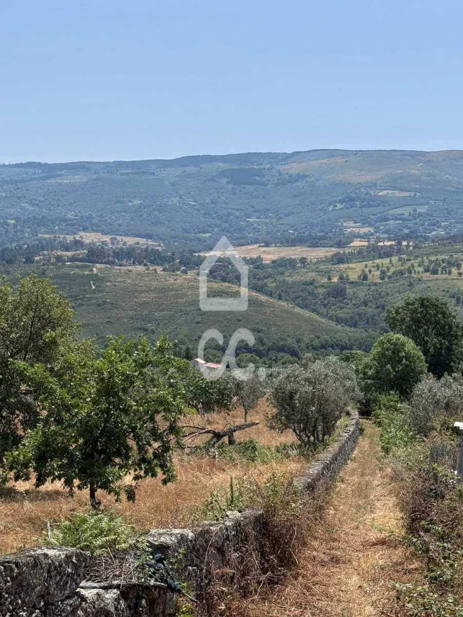 Terreno para Venda em Carrapichana Foto 12