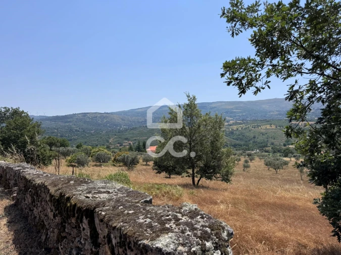 Terreno para Venda em Carrapichana Foto 9