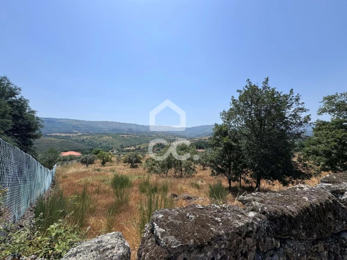 Terreno para Venda em Carrapichana Foto 4