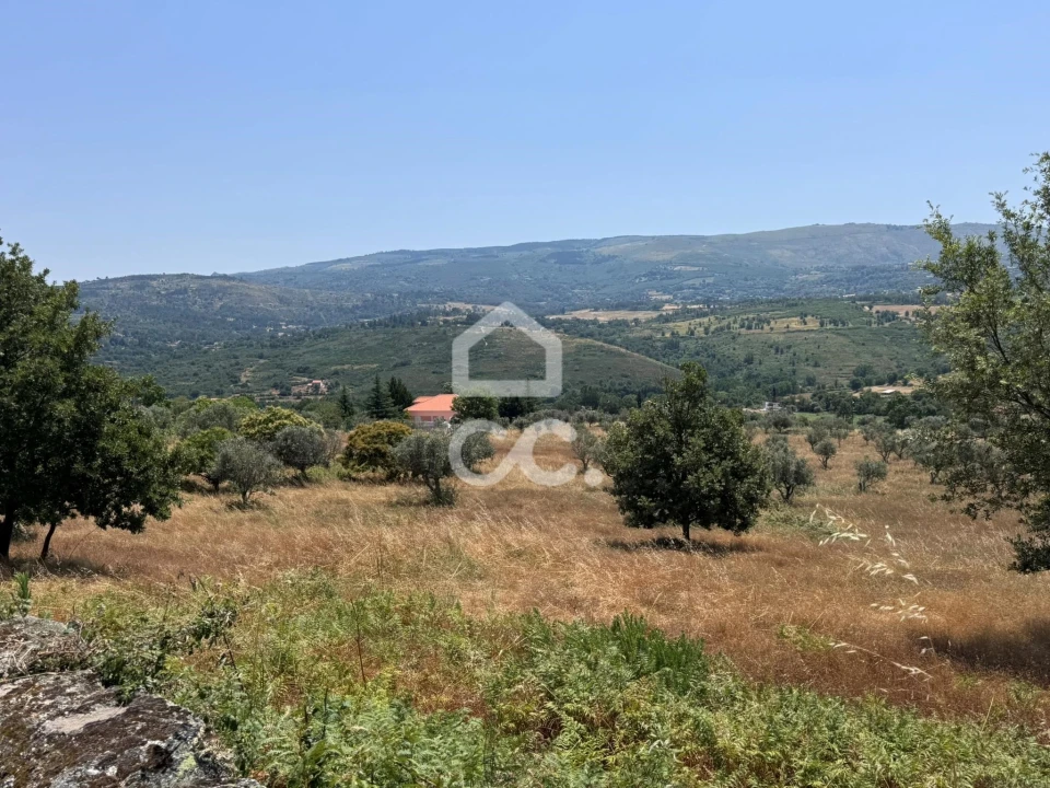 Terreno para Venda em Carrapichana Foto 14