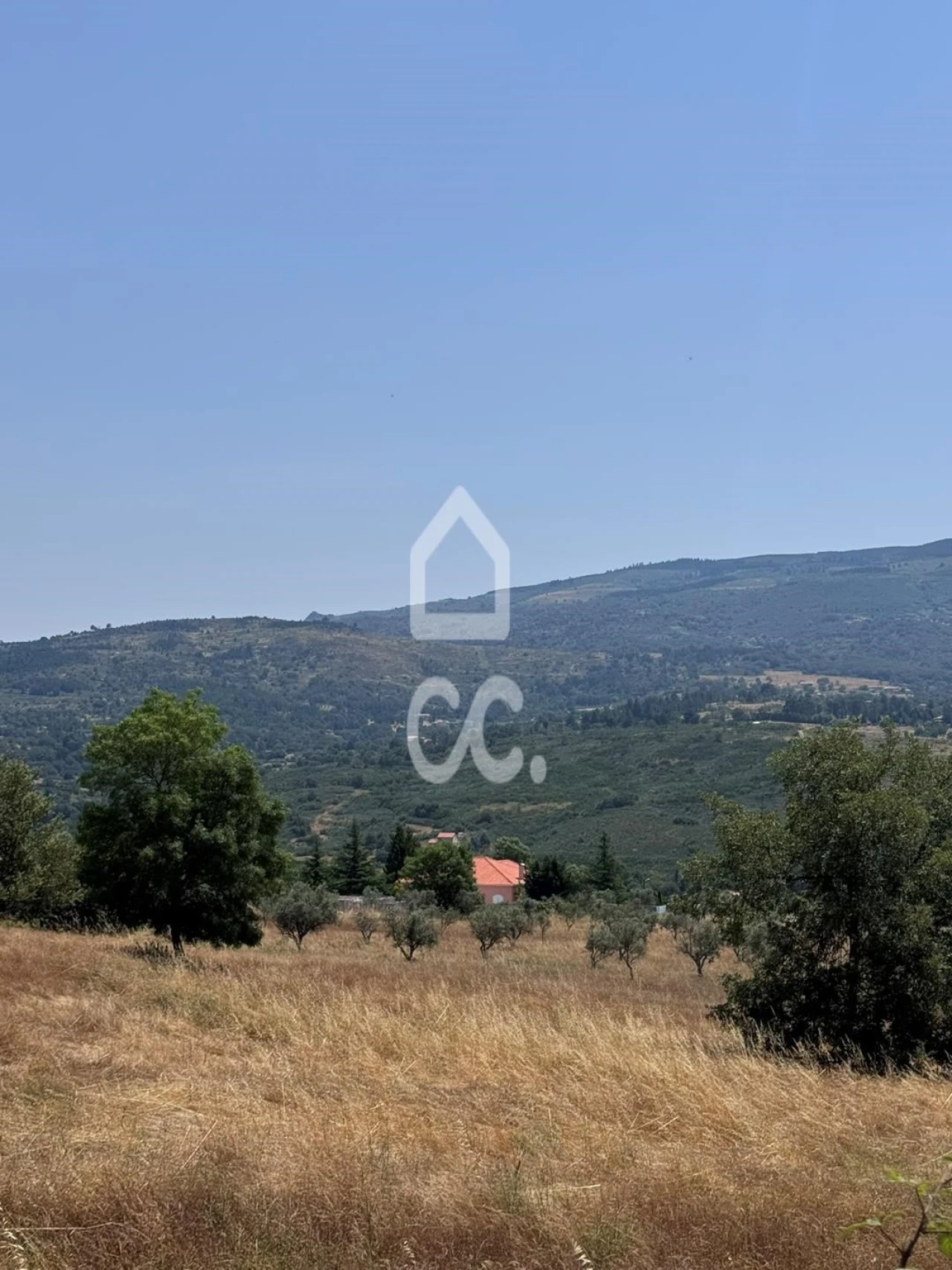 Terreno para Venda em Carrapichana Foto 10