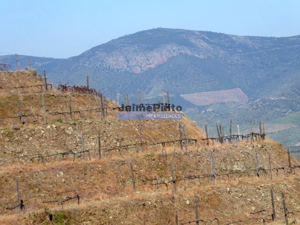 Terreno Agricola ou Rústico para Venda em Castelo Rodrigo Foto 5