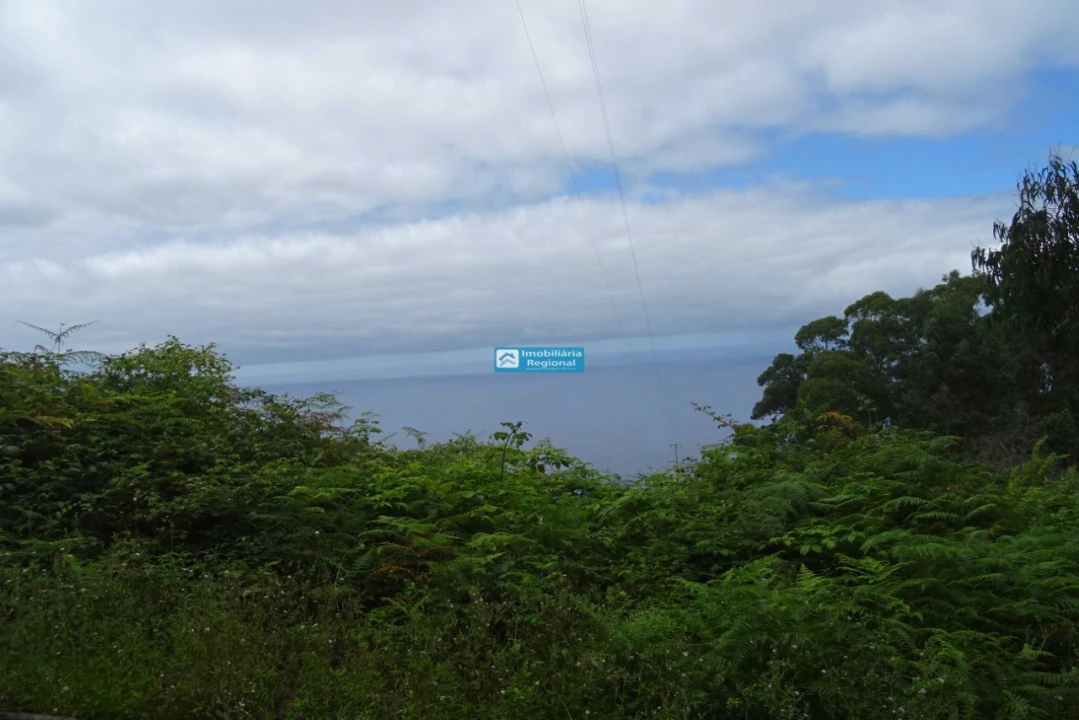 Terreno para Venda em São Jorge Foto 4