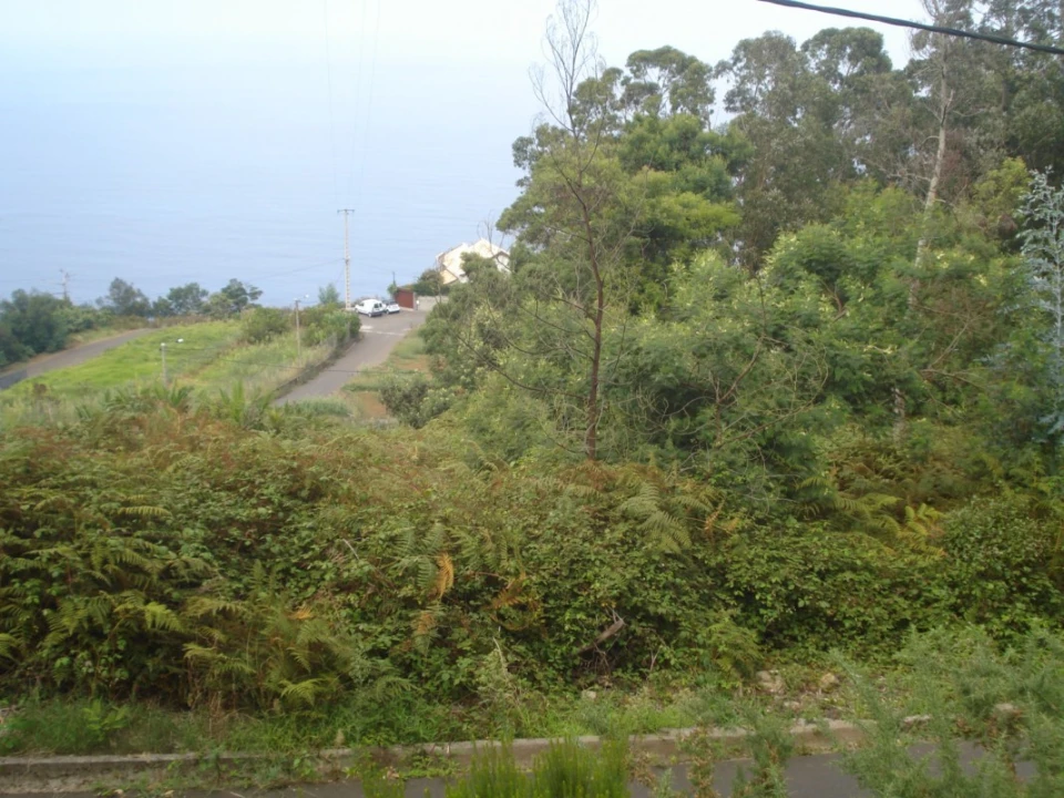 Terreno para Venda em São Jorge Foto 10