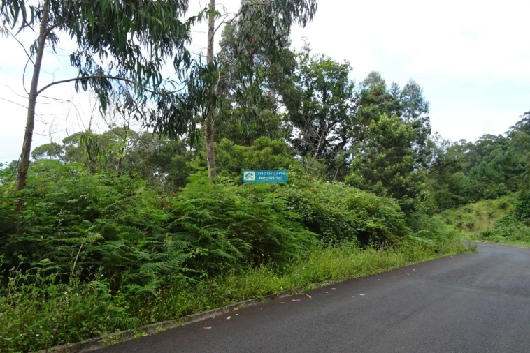 Terreno para Venda em São Jorge Foto 3