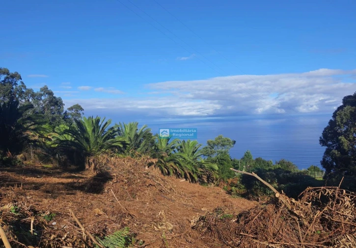 Terreno para Venda em São Jorge Foto 6