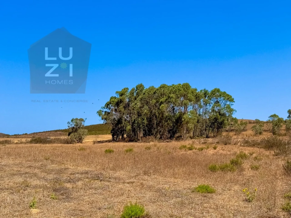 Terreno Agricola ou Rústico para Venda em Vila do Bispo e Raposeira Foto 11