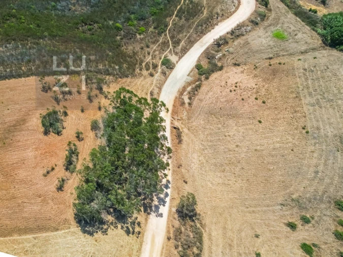 Terreno Agricola ou Rústico para Venda em Vila do Bispo e Raposeira Foto 10