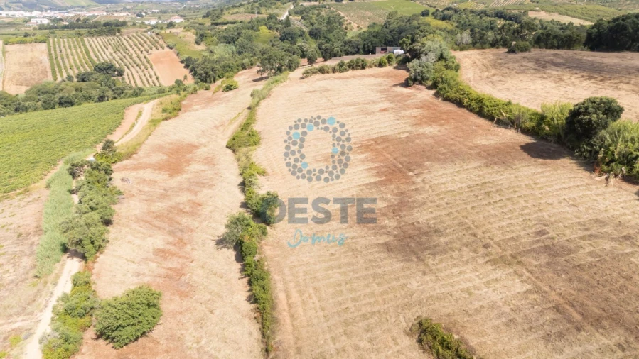 Terreno para Venda em Carvalhal Foto 17