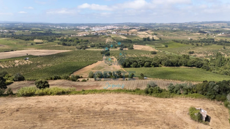 Terreno para Venda em Carvalhal Foto 14