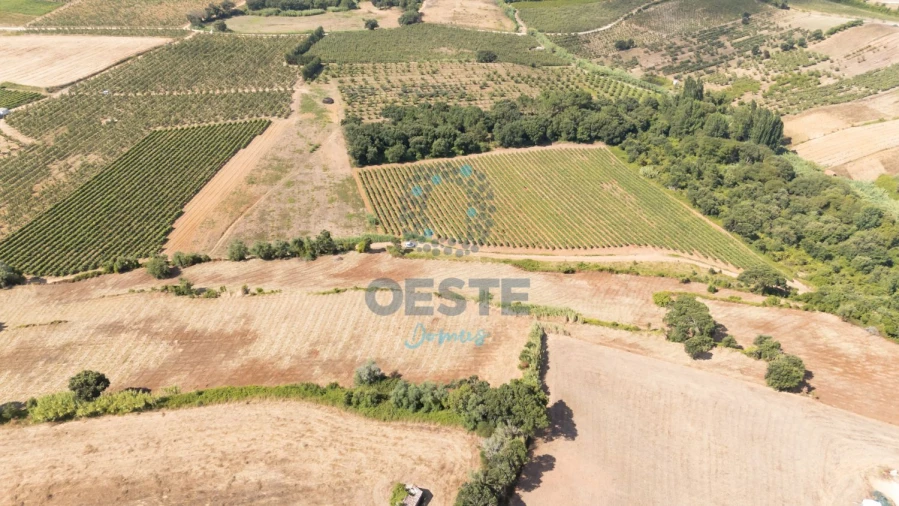 Terreno para Venda em Carvalhal Foto 10