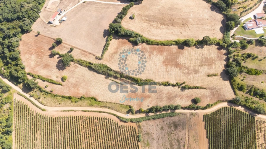 Terreno para Venda em Carvalhal Foto 8