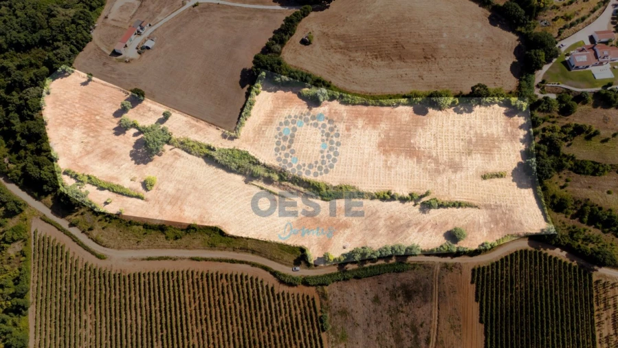 Terreno para Venda em Carvalhal Foto 9