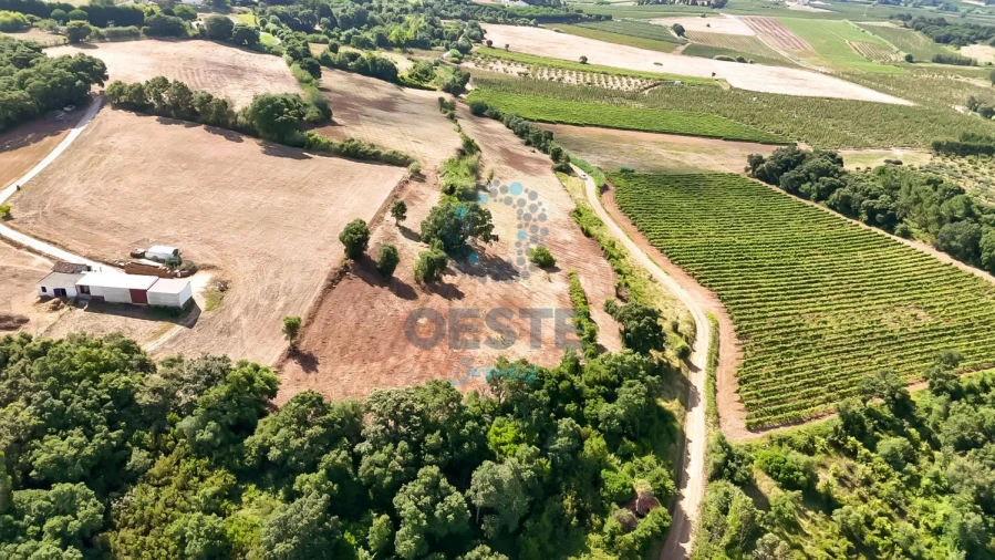 Terreno para Venda em Carvalhal Foto 3