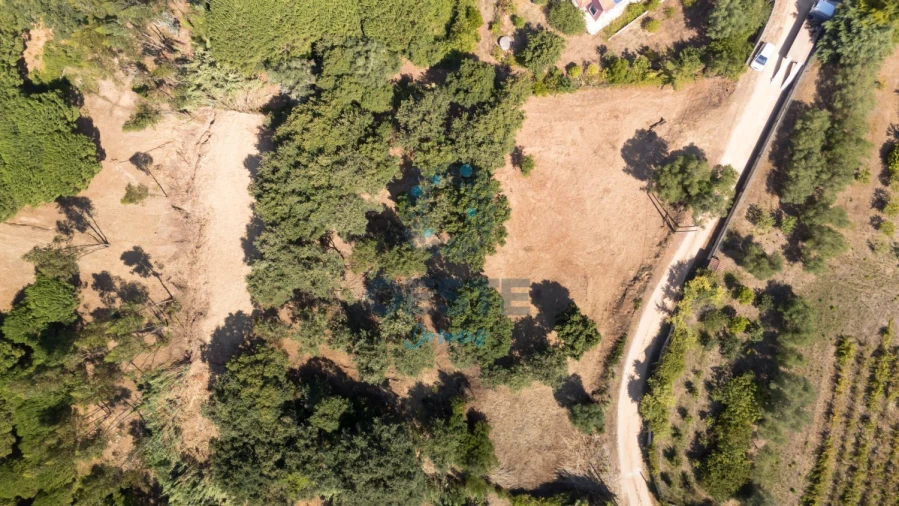 Terreno para Venda em Carvalhal Foto 15