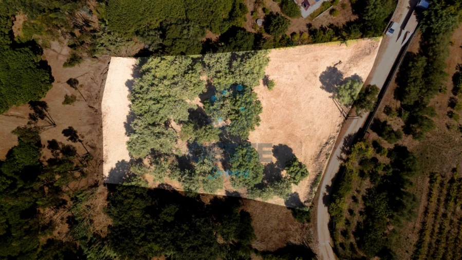 Terreno para Venda em Carvalhal Foto 1