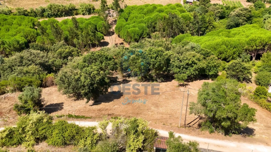 Terreno para Venda em Carvalhal Foto 6
