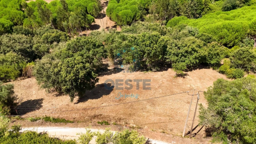 Terreno para Venda em Carvalhal Foto 5