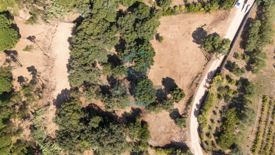 Terreno para Venda em Carvalhal Foto 14