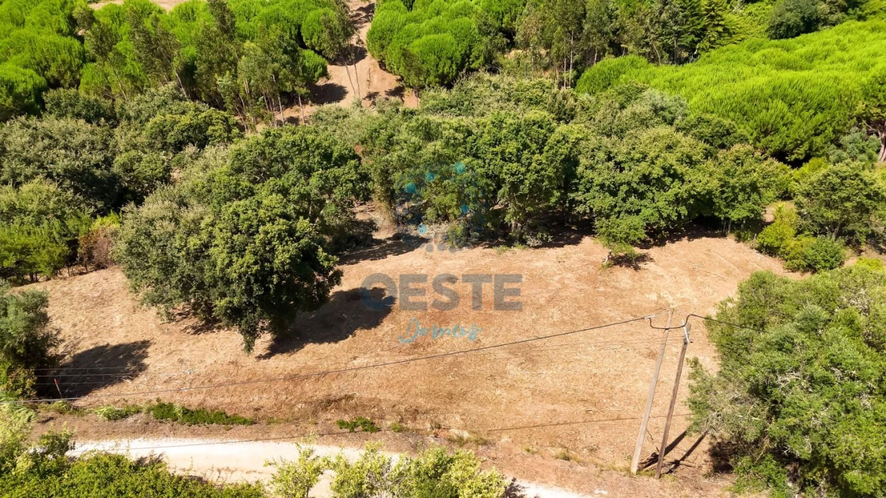 Terreno para Venda em Carvalhal Foto 5