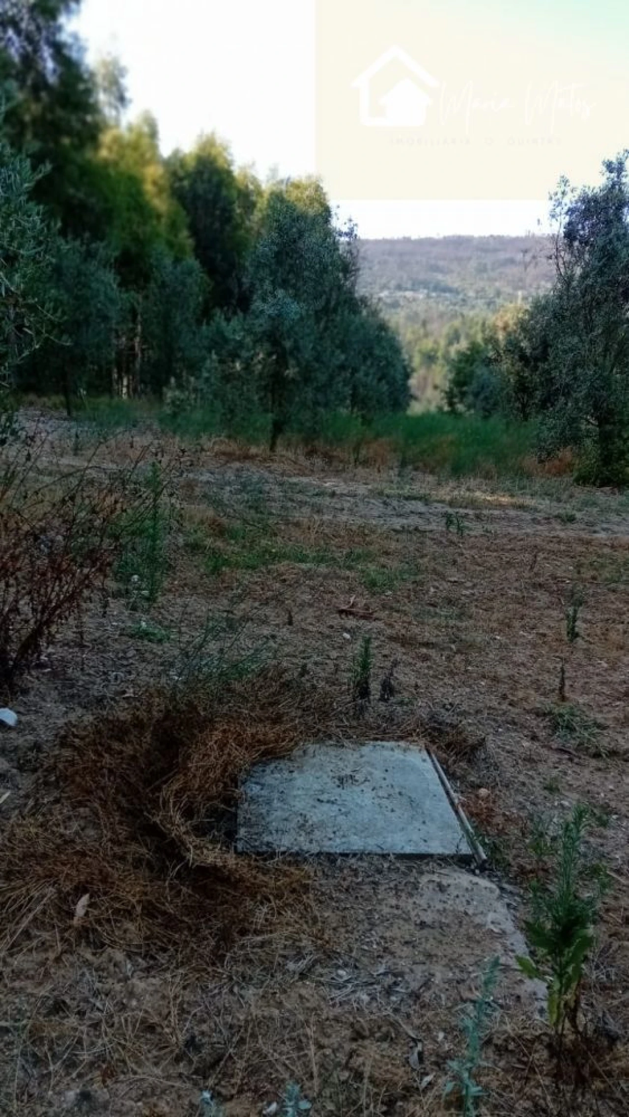 Quinta T0 para Venda em Castelo de Penalva Foto 45