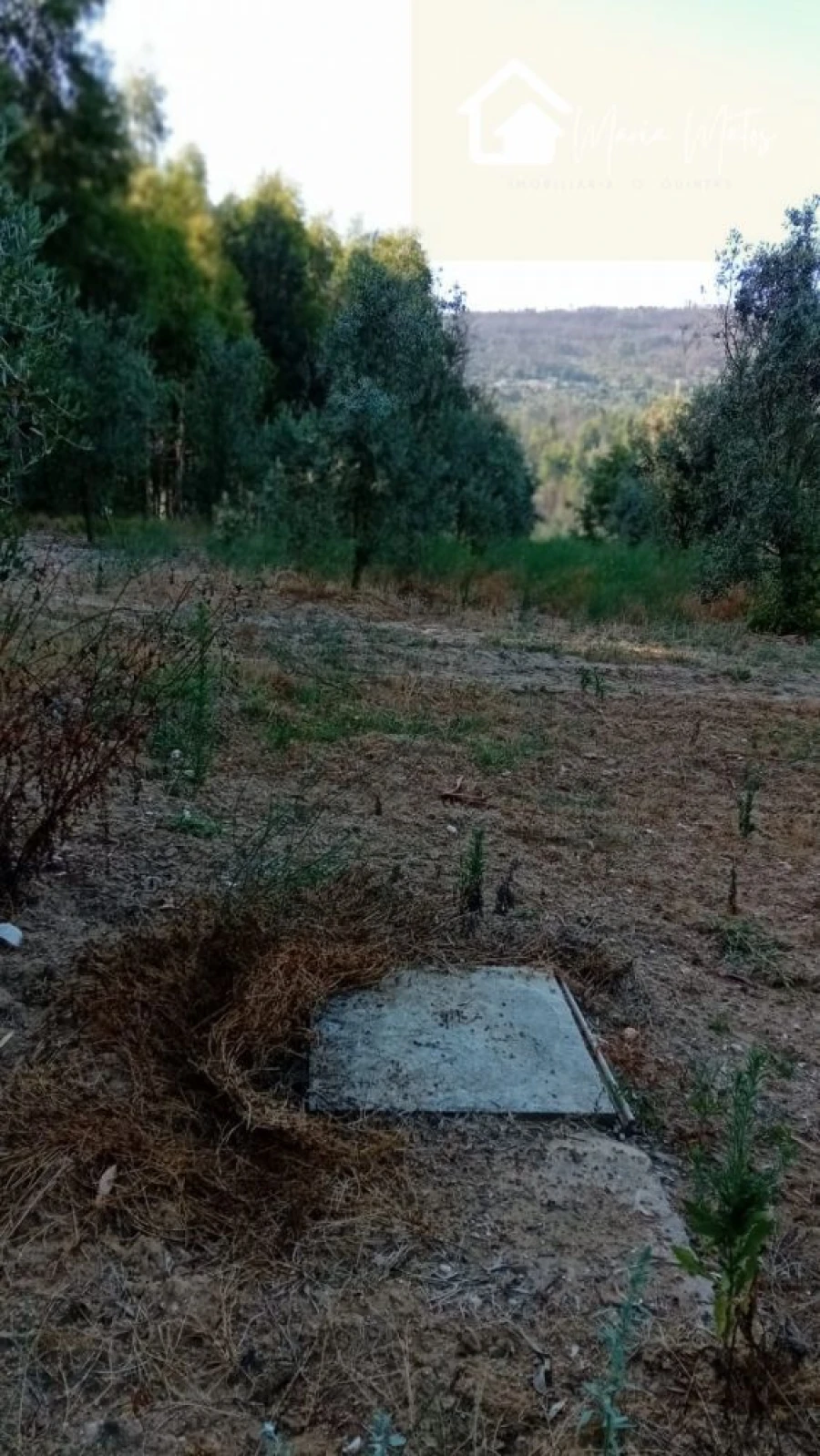Quinta T0 para Venda em Castelo de Penalva Foto 45