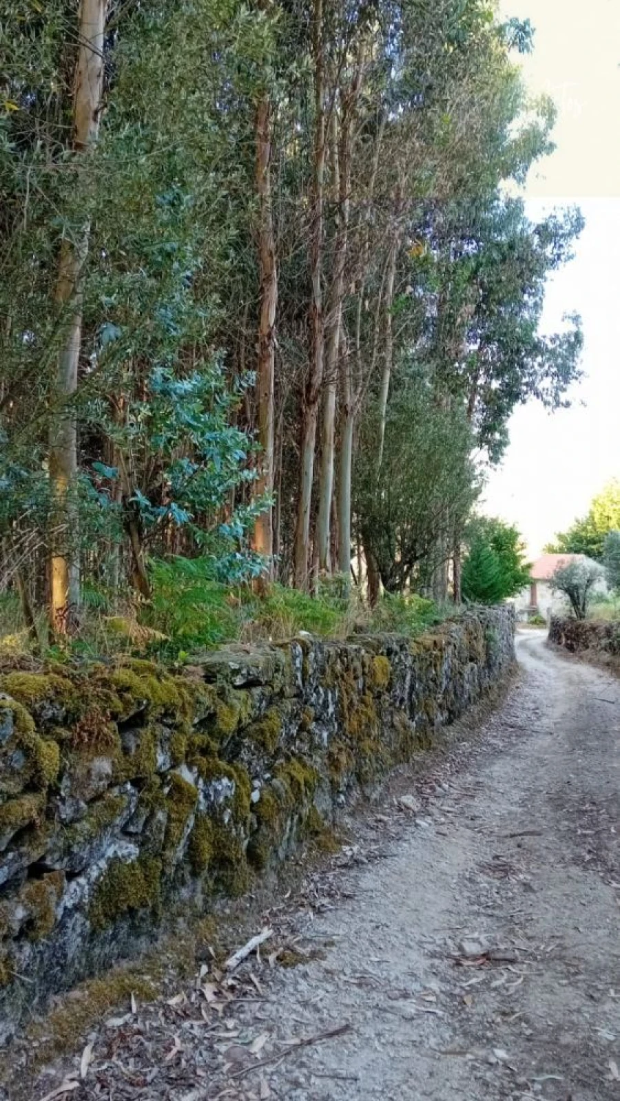 Quinta T0 para Venda em Castelo de Penalva Foto 46