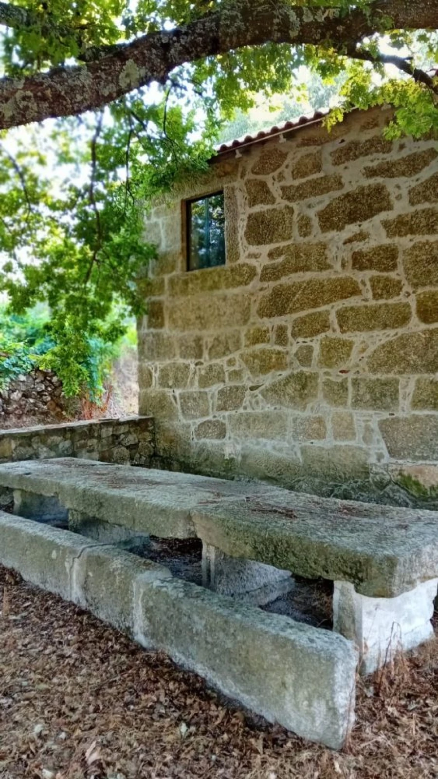 Quinta T0 para Venda em Castelo de Penalva Foto 8